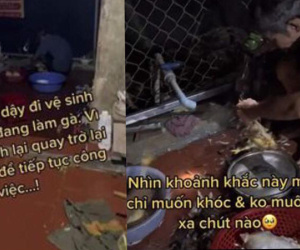 Con gái sắp đi sau thời gian về thăm nhà ngoại, bố mẹ dậy từ 5h sáng hì hụi thịt gà chuẩn bị cho con mang về nhà nội