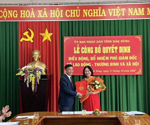 Chủ tịch tỉnh nói về việc phó giám đốc sở xin nghỉ việc khi vừa bổ nhiệm