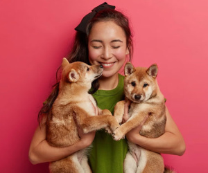 Bất tỉnh giữa sân trường, nữ sinh được chó hoang cứu mạng