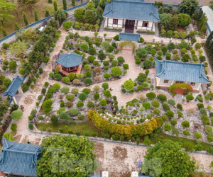 Cựu bí thư 'hạ cánh', đất đâu mà nhiều thế?