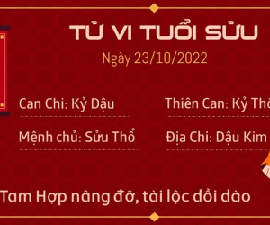 Tử vi Chủ Nhật ngày 23/10/2022: Loạt con giáp đón tài lộc, tiền bạc dồi dào