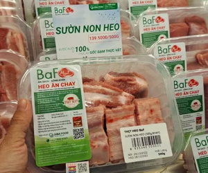 Sau 'heo ăn chuối' của bầu Đức, một đại gia chăn nuôi tung... 'heo ăn chay'