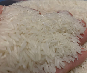 'Hạt ngọc' Việt bán được giá cao nhất, thu về gần 3 tỷ USD