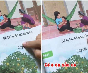 Ảnh minh họa