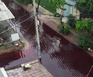 TP HCM chưa xác định nguyên nhân dòng nước màu đỏ ngập 2 tuyến đường