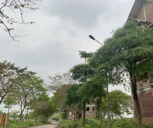 Đống tiền chôn trong đất bỏ hoang, Hà Nội quyết thu hồi hàng loạt dự án