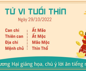 Tử vi thứ 7 ngày 29/10/2022 của 12 con giáp:Thìn đón tài lộc, Ngọ đề phòng tiểu nhân