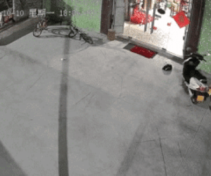 Video: Ấm lòng anh trai cứu em trong gang tấc
