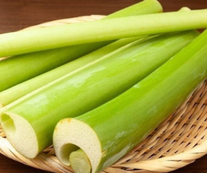 TP Hồ Chí Minh: 5 người đi cấp cứu sau khi ăn canh gà nấu với lá giang và bạc hà