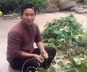 Giận chồng bỏ về nhà mẹ đẻ, vợ vừa về đến cổng đã ngỡ ngàng vì cảnh ở sân