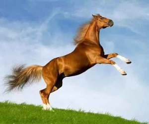 Ngày 12/10 âm Nguyệt Đức chiếu mệnh: 3 tuổi hốt bạc, 1 tuổi kiết xác