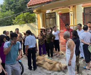 Vụ đốt nhà mẹ đẻ ở Hưng Yên: Ba người con gái có thể bị truất quyền thừa kế