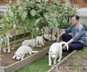 Lý do cựu Tổng thống Hàn Quốc muốn trả lại quà tặng của ông Kim Jong Un