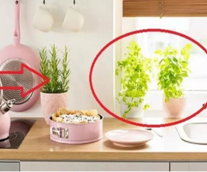 Bếp tụ tài đón lộc: Có 2 thứ đại cát, cuối năm làm gì cũng gặp may
