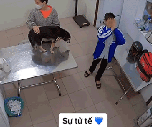 Đưa cún cưng vào phòng khám cùng mẹ, nam sinh có hành động bất ngờ khiến dân mạng thốt lên: Quá tử tế!