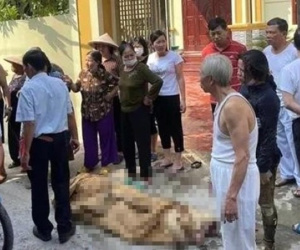 Từ vụ 3 người con gái đốt nhà mẹ đẻ: Chuyên gia 'lật tẩy' thủ phạm giấu mặt