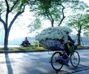 Thời tiết ngày 9/11: Miền Bắc chênh 10 độ giữa ngày và đêm