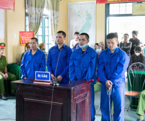 Tuyên 3 án tử hình, 1 án chung thân cho đường dây vận chuyển trái phép chất ma túy