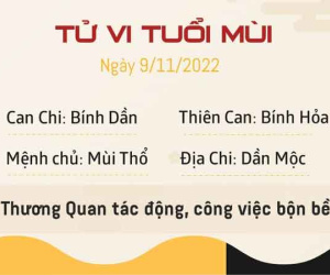 Tử vi thứ 4 ngày 09/11/2022 của 12 con giáp: Ngọ thuận lợi, Sửu gặp trục trặc