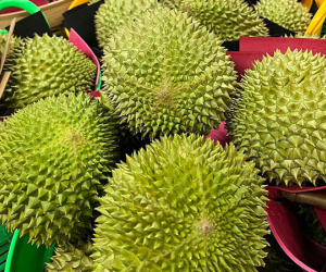 Sầu riêng ngon nhất thế giới 'bay' về Việt Nam giá 4,5 triệu đồng/quả