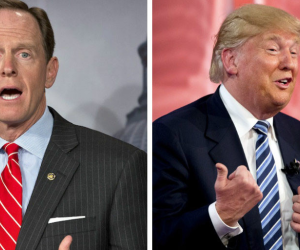 Bầu cử giữa kỳ Mỹ: Chính khách Cộng hòa tố tội ông Trump, phe Dân chủ đấu khẩu vì thất bại