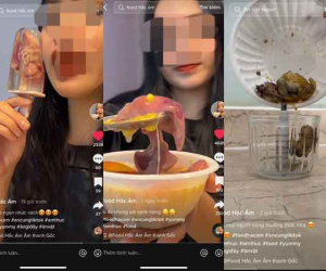 TikToker gây 'dậy sóng' vì sáng tạo món ăn 'đáng sợ': Sinh tố hột vịt lộn, kem tim gà
