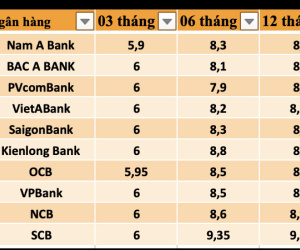 Lãi suất kỳ hạn 6 tháng tới 9,35%, gửi 200 triệu nhận được bao nhiêu tiền?