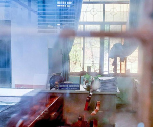 Phó Chủ tịch phường ở Quy Nhơn 'mất tích' hơn 1 tháng không có mặt ở cơ quan