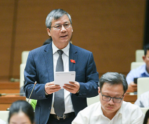 'Hầu hết tỷ phú Việt Nam giàu lên rất nhanh nhờ đất'