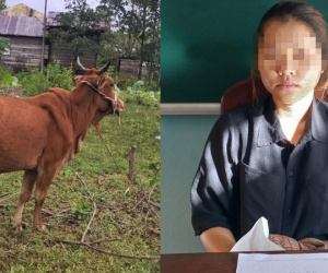 Thấy bò hàng xóm thả rông, thiếu nữ 19 tuổi thuê xe ba gác bắt đem bán