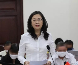 Vì sao Phó cục trưởng Cục Thuế TP HCM Nguyễn Thị Bích Hạnh bị khởi tố?