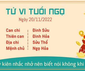 Tử vi Chủ Nhật ngày 20/11 của 12 con giáp: Ngọ kinh doanh thuận lợi, Tị đề phòng tranh cãi