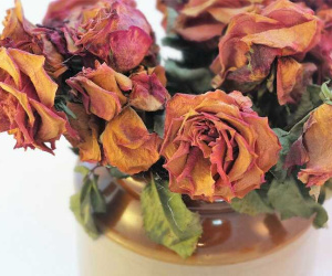 Gia đình vận xui đeo đẳng, nghèo rớt mồng tơi vì lưu 3 thứ trong nhà, đừng tiếc của giữ lại mà thiệt