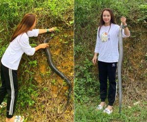 Dắt bạn gái 'yếu đuối' về ra mắt gia đình, chàng trai 'sốc tận óc' khi thấy cô nàng tay không giết rắn