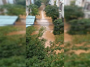Mưa lớn gây lũ lụt, người dân chèo thuyền giữa phố ở Bình Định