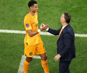 'Thần tài' Gakpo và sự lão luyện của Van Gaal cho thấy Hà Lan rất đáng sợ