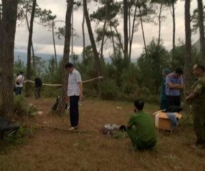 Nữ giáo viên đánh chết người tình trên đồi thông có ở trong trạng thái bị kích động mạnh?