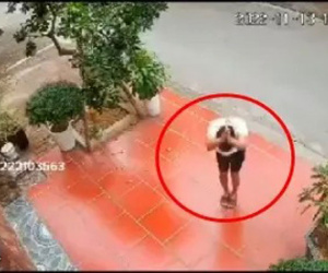Đi hái trộm trái cây, thanh niên có hành động lạ trước nhà gia chủ
