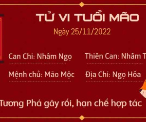 Tử vi thứ 6 ngày 25/11/2022 của 12 con giáp: Tý dễ gặp bất hòa, Mùi được cấp trên ưu ái