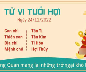 Tử vi thứ 5 ngày 24/11/2022 của 12 con giáp: Thìn thăng tiến, Dậu khó khăn