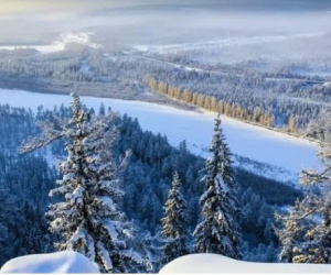 'Thây ma' Siberia hồi sinh sau 50.000 năm đóng băng: Cảnh báo rùng mình