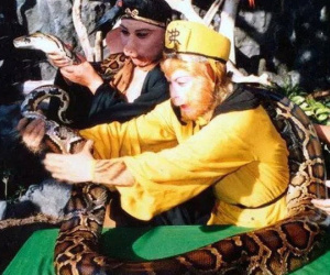 Tây du ký 1986: Cảnh quay đại chiến với mãng xà tinh và sự thật ghê rợn đằng sau ít ai biết