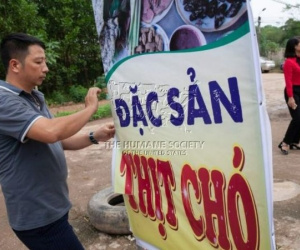 Hành trình chấm dứt nạn buôn bán thịt chó