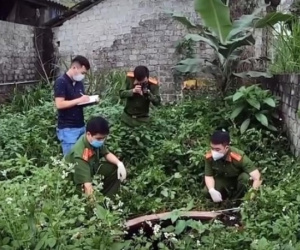 Giải mã bí ẩn trong trang trại chăn nuôi