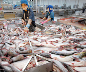 Qua thời đỉnh cao, nữ đại gia hàng đầu Việt Nam gặp khó