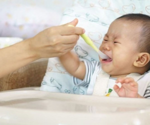 Thấy em gái chồng dùng bát của chó để cho con mình ăn, người mẹ tức giận chất vấn còn bị cãi: 'Chó là con em'