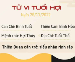 Tử vi thứ 3 ngày 29/11/2022 của 12 con giáp: Thân vận trình hanh thông, Hợi bị tiểu nhân rình rập
