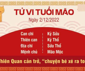 Tử vi thứ 6 ngày 02/12/2022 của 12 con giáp: Tý được cấp trên ưu ái, Mão chuyện bé xé ra to