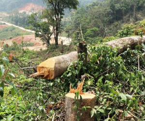 Đề nghị xem xét kỷ luật nguyên lãnh đạo Thành ủy, UBND thành phố Bảo Lộc