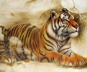 4 tuổi xứng danh chúa kiêu ngạo 'con nhà lính, tính nhà quan'